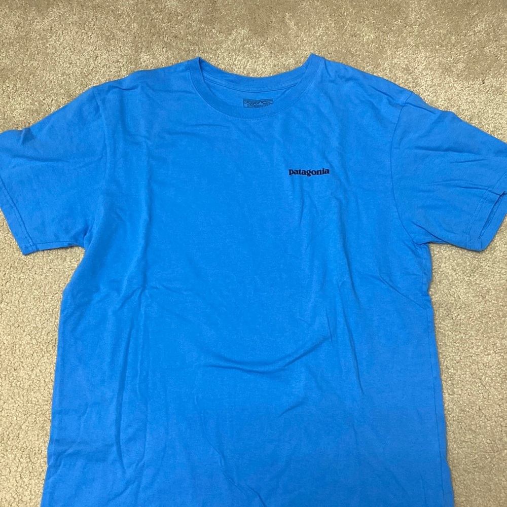 Patagonia T-Shirt